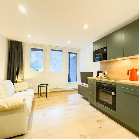 Appartement Exceptionnel, Equipe Face A L'aiguille Du Midi Chamonix